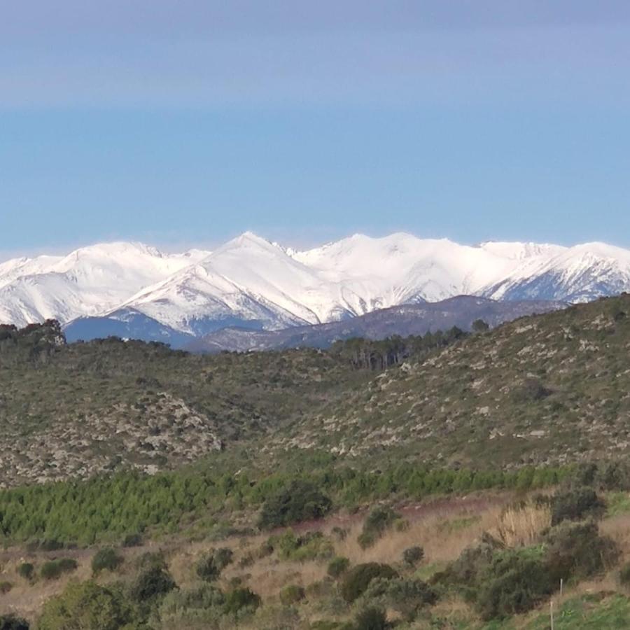 Casa Rural Cal Fuster Experience Terrades Dış mekan fotoğraf