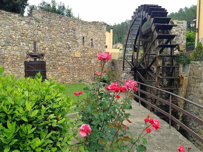 Casa Rural Cal Fuster Experience Terrades Dış mekan fotoğraf